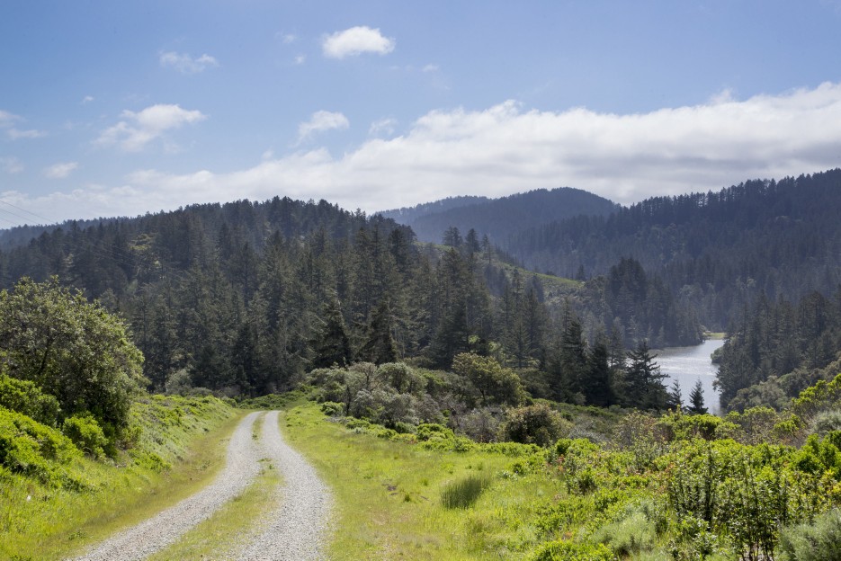 The most beautiful Bay Area trail you’ve never heard of is protected, pristine & open to the&nbsp;public