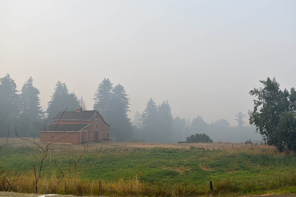 ‘It’s eerie’: Behind the lines of the CZU August Lightning&nbsp;fires