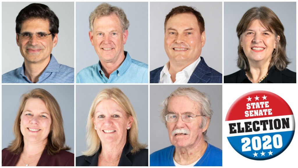 Striving for the Senate: Meet the seven candidates who want to represent you in&nbsp;Sacramento