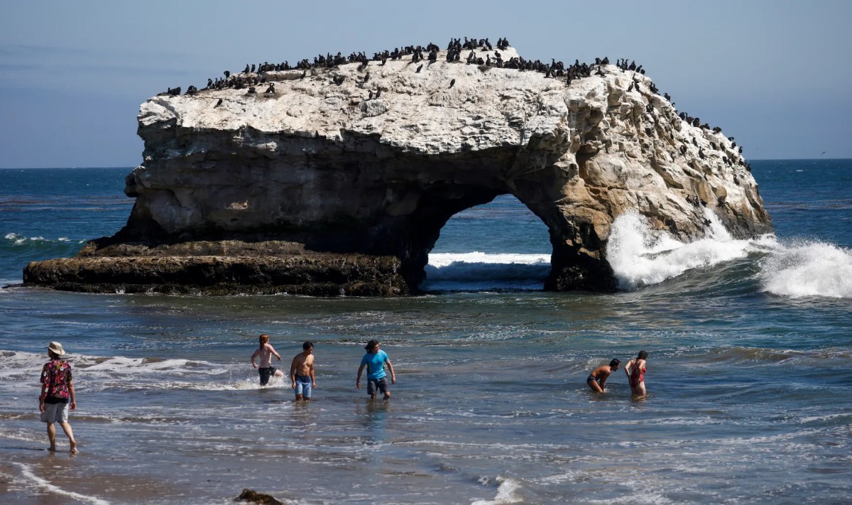How to spend a perfect day in Santa Cruz, based on your travel&nbsp;style